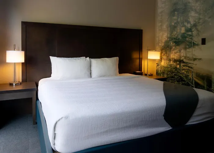 Tofino Resort + Marina